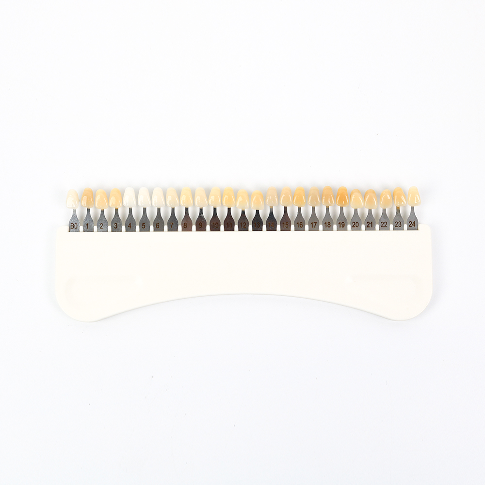 3D Teeth Whitening Shade Guide - Teeth Whitening Free 评论和价格