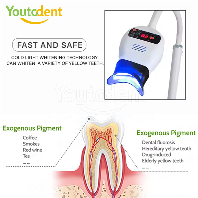 Professional Dental 3Color Lig - Teeth Whitening Free 评论和价格