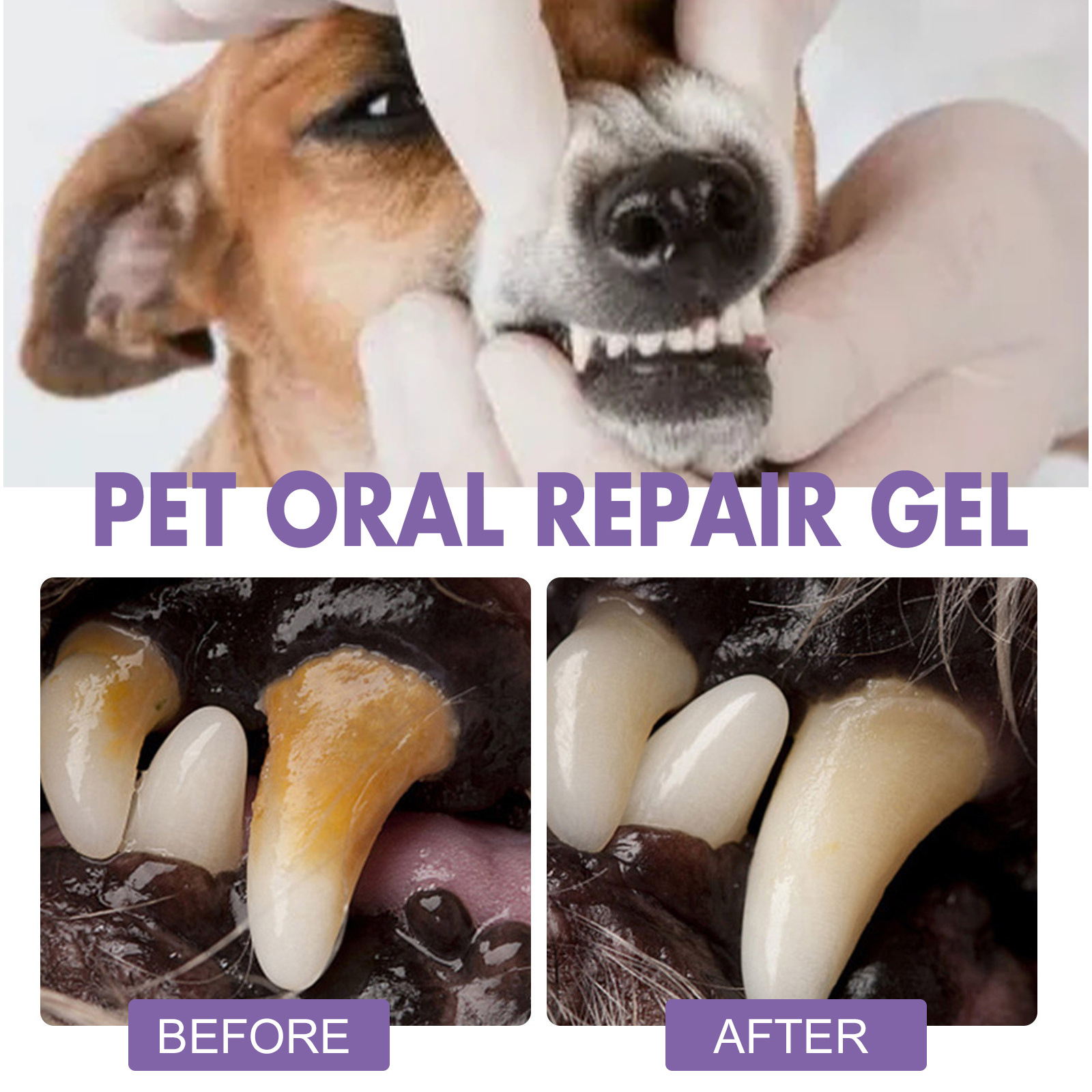 Pet Oral Repair Gel Puppy Tart - Teeth Whitening Essence 评论和价格