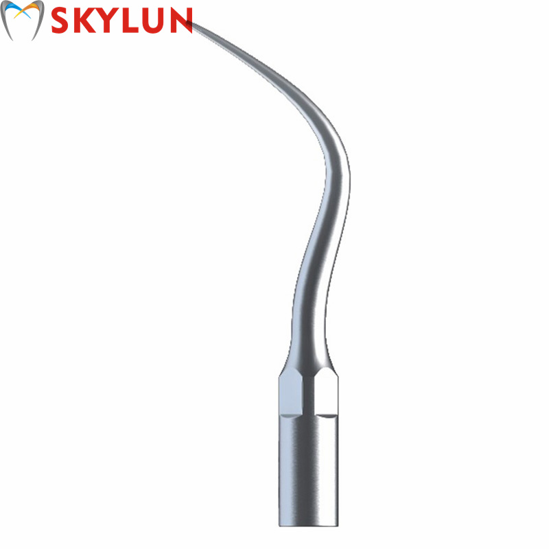 5PCS P4 Dental Ultrasonic Scal - Teeth Whitening Free 评论和价格